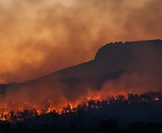 aspectos negativos del cambio climatico en el cultivo